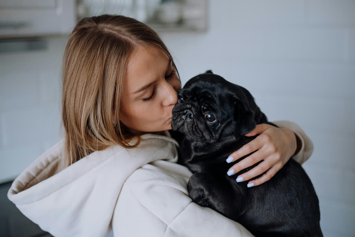 Pet friendly apartments in Buffalo